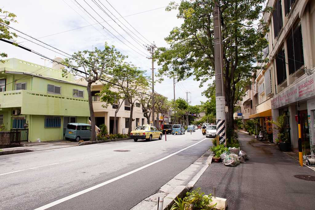 トックリキワタの並木道