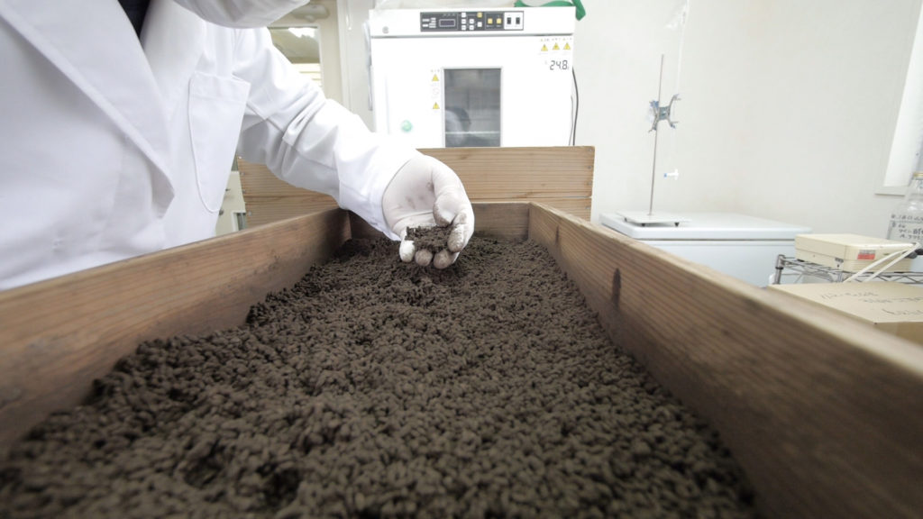 泡盛　石川種麹