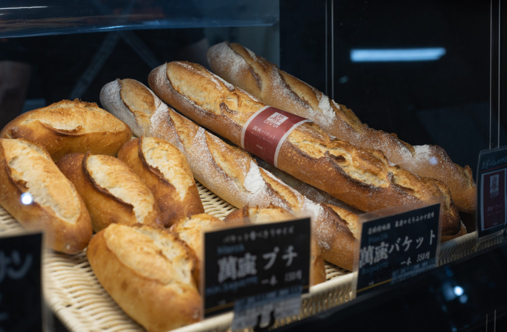 泡盛　アチココ