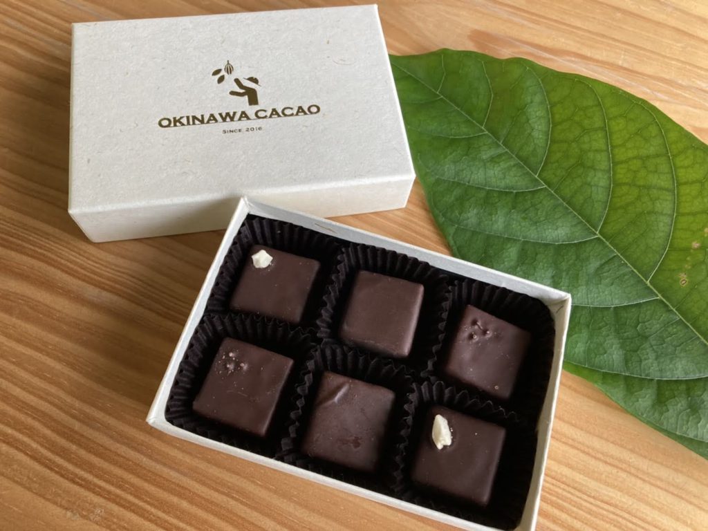泡盛 CACAO OKINAWA