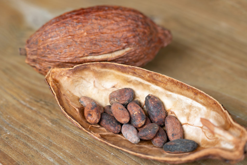 チョコレート×泡盛」OKINAWA CACAOで未知なるマリアージュに感動